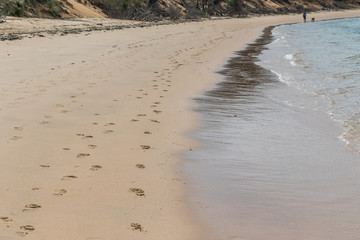 A Beach of Phillip Island on a sunny day