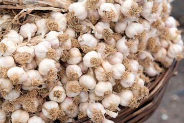 organic garlic is sold in the market