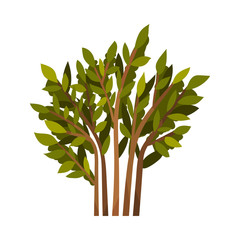 Bush with brown branches. Vector illustration on a white background.