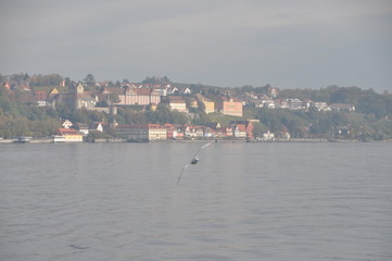 seagull flying over the car ferry to Konstanz with the old town of Meersburg in the background, Baden-W&uuml;rttemberg, Germany