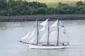 Tall ship Marité sailing in the Seine River estuary, Armada 2019, Normandy