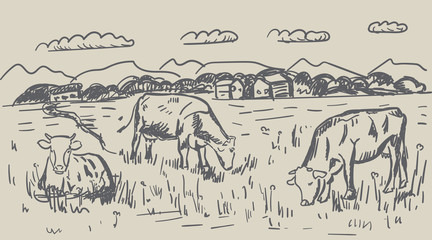 vector illustration of village and landscape farm