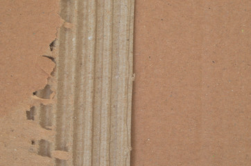 texture of cardboard