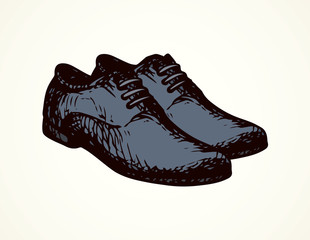 Male shoes. Vector drawing