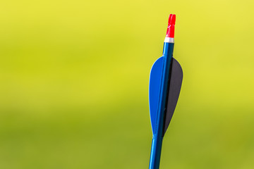 archery is an outdoor sport or indoor