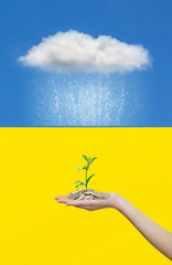 Fototapete bei efototapeten.de bestellen   