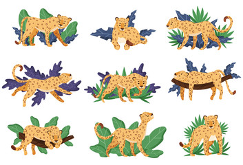 Spotted Leopard and Tropical Greenery Vector Illustrations Set © Happypictures