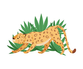 Spotted Leopard Stretching Near Tropical Leaves Vector Illustration