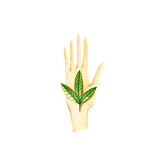 Watercolor arm and branch with green leaves. Hand drawn illustration isolated on white. Icon of hand is perfect for ecological design, social media icons, poster, stickers