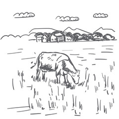 vector illustration of village and landscape farm