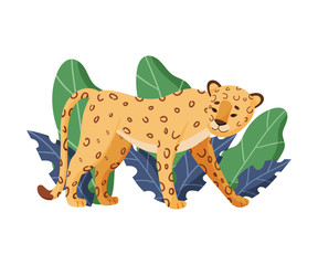 Spotted Leopard Standing Near Tropical Leaves Vector Illustration