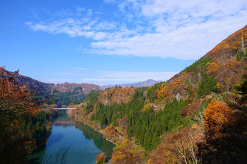 Fototapeta na wymiar 晩秋の只見川。三島　福島　日本。１１月中旬。