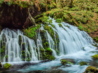 Fototapeta premium Bieżąca woda Mototakiboshi