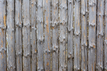 Background texture of old grey wooden fence from whole logs with  knots. Shabby fence.