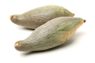 ALong Green Squash on a White Background