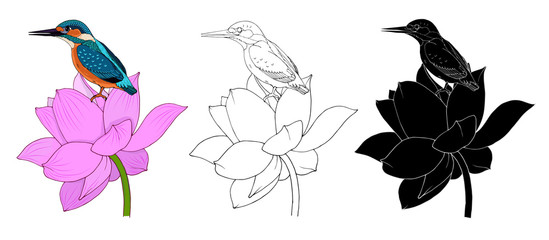bird is a Kingfisher and Lotus flower