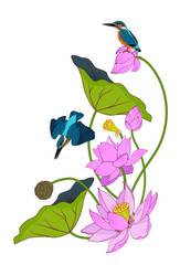 Pink lotuses and kingfishers, composition for design, vector illustration