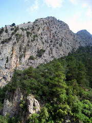  view of the top of the mountain