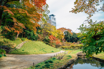 Obraz premium Koishikawa Korakuen Garden at autumn in Tokyo, Japan