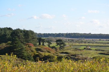Obraz premium view of rural landscape