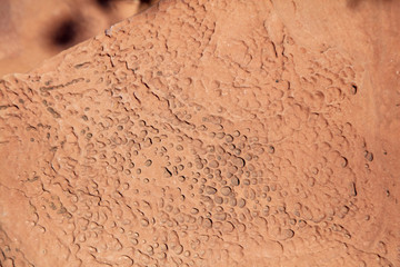 Time and water leave their marks on the surface of the sandstone rock faces of Capitol Reef National Park, Utah