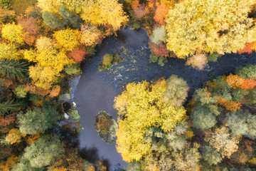 Top down drone shoot over colourful trees and curving river at warm autumnal day. 
