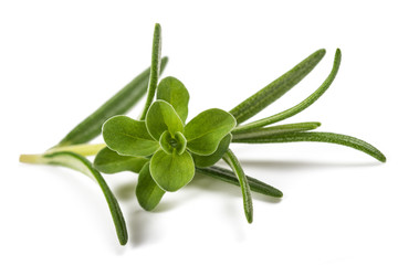 rosemary and marjoram