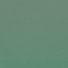 Green designed grunge texture. Vintage background with space for text or image