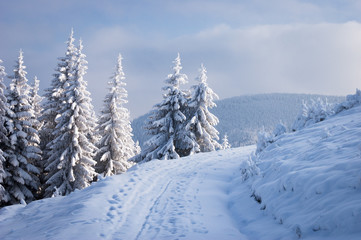 Winter landscape with a road and frost covered trees