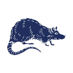 Rat or Mouse Hand Drawn on white background. Vector
