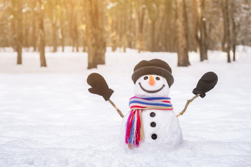 Winter view with a cheerful snowman
