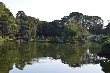 Fototapeta premium 清澄白河