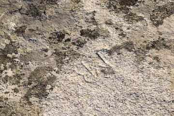 Naklejka premium Stone texture background. Natural surface