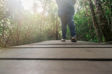 A girl walking on a wooden bridge to travel in the forest  On the weekend