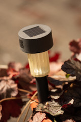 Rechargeable Solar Garden Light 