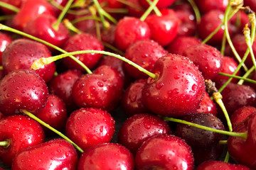 Background of juicy fresh red cherry berries with water droplets