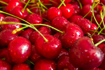 Background of juicy fresh red cherry berries with water droplets