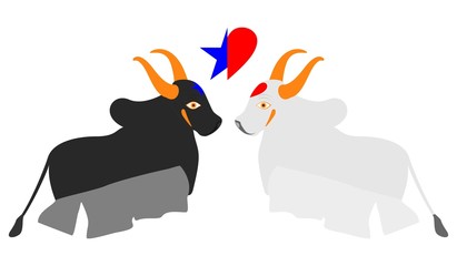 Parintins Folk Festival. Bumba meu boi.