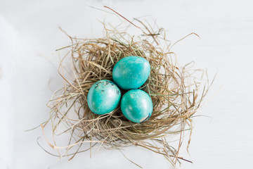 Painting quail and chicken easter eggs