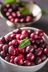 Fresh ripe cranberries in bowl on table close-up