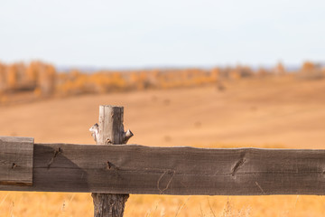 Old wooden fence on the background of autumn fields, forests and mountains