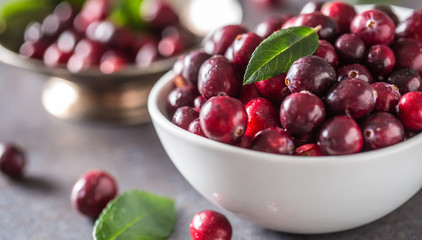 Fresh ripe cranberries in bowl on table close-up