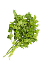 Closeup bunch of fresh raw parsley with drops of water isolated on white