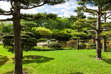 Japanischer Garten in Düsseldorf