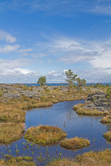 Moorlandschaft auf der Atlantikinsel Tustna