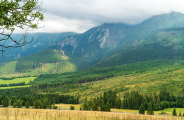 Photo panorama mountains. View on valley