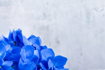Blue bouquet on a white background. bouquet of iris flowers. The flowers are saturated blue. view from above. Place for writing. © SYARGEENKA
