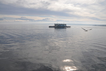 seagulls flying near the car ferry between Meersburg and Konstanz, Lake Constance, Baden-Württemberg, Germany