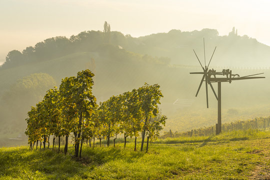 Misty morning at sunset behind a Klapotetz and vines  on the Weinstra&szlig;e  at Gra&szlig;nitzberg near Spielfeld