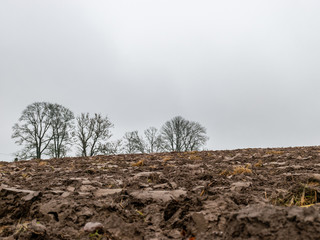mist landscape with blurred plowed field in the foreground and bare tree silhouettes in the...